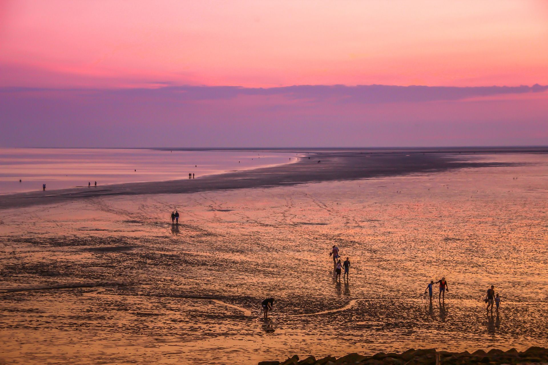 Afbeelding wadlopen