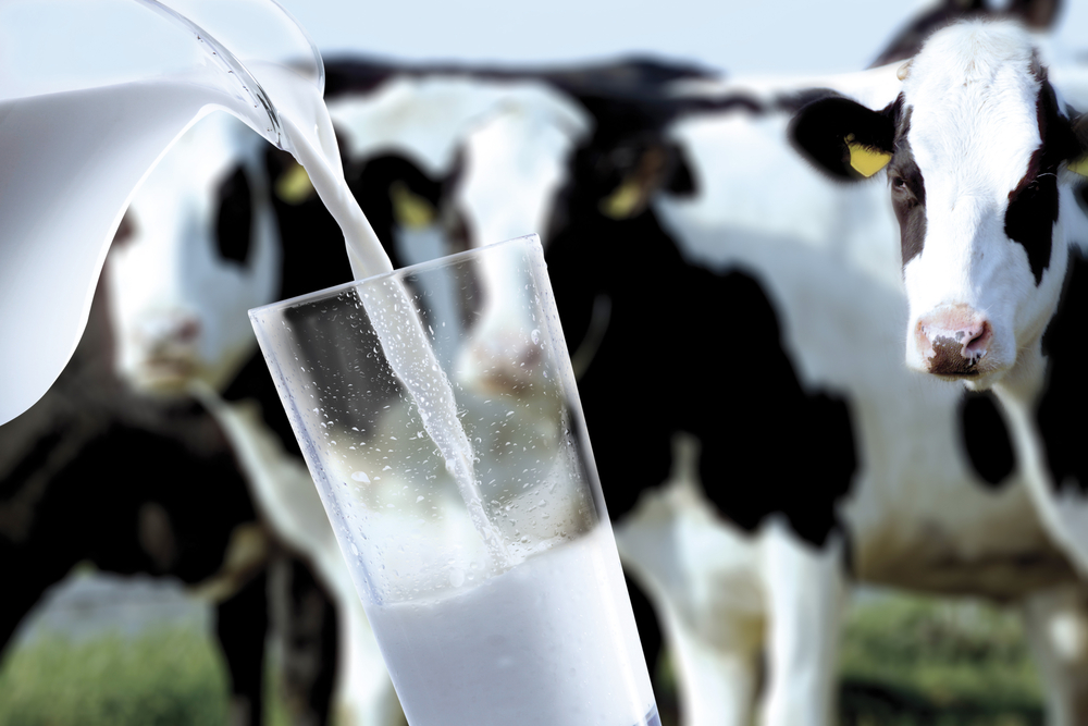 Online celgetalmeter voor gezonde melkveehouderij